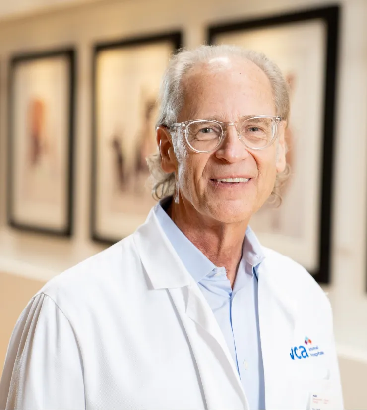 Portrait of Todd Tams, DVM, DACVIM