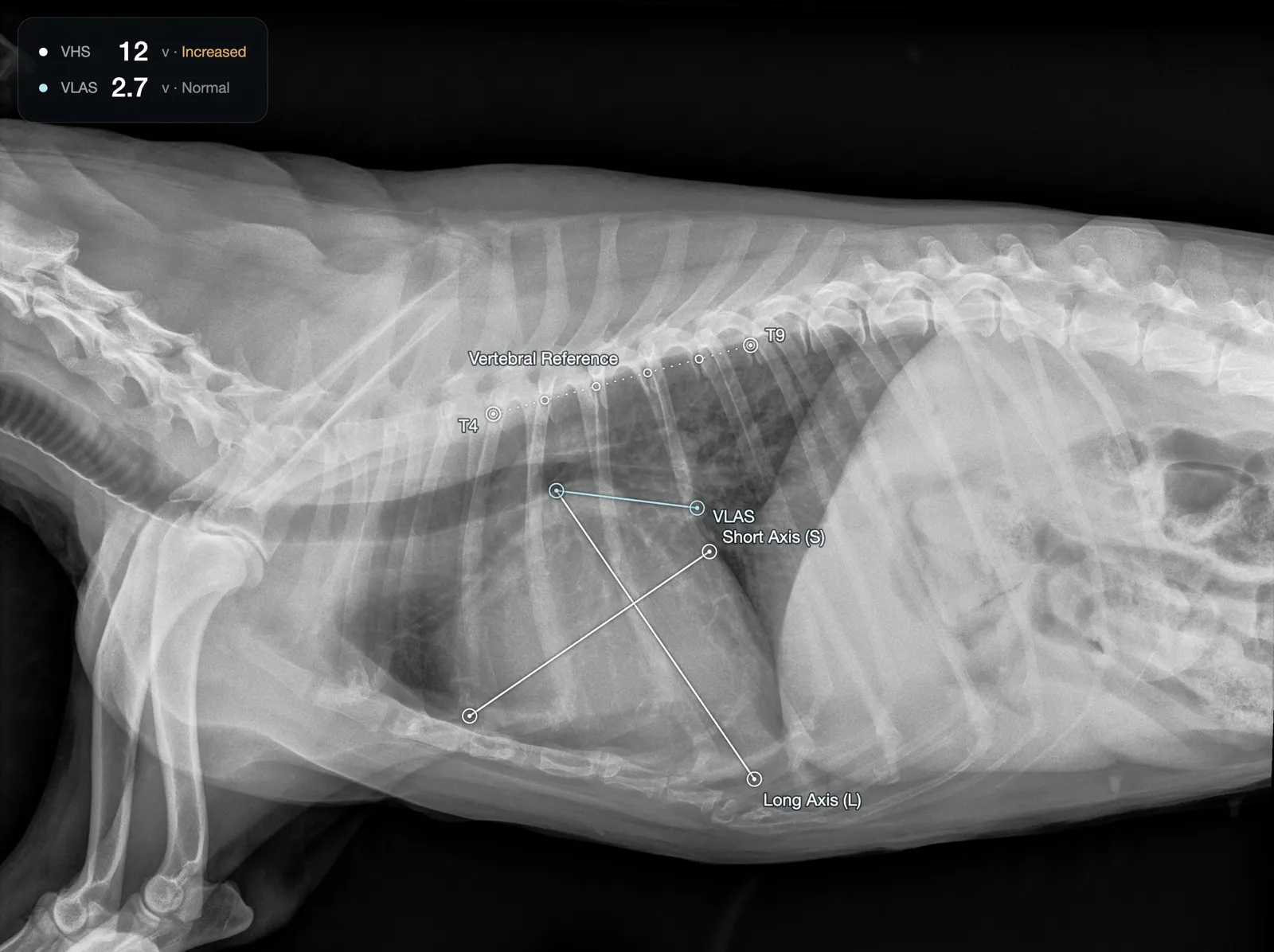 Canine lateral thoracic radiograph with Travv's VHS and VLAS measurement overlay — T4–T9 vertebral reference, cardiac long and short axes, and the resulting scores