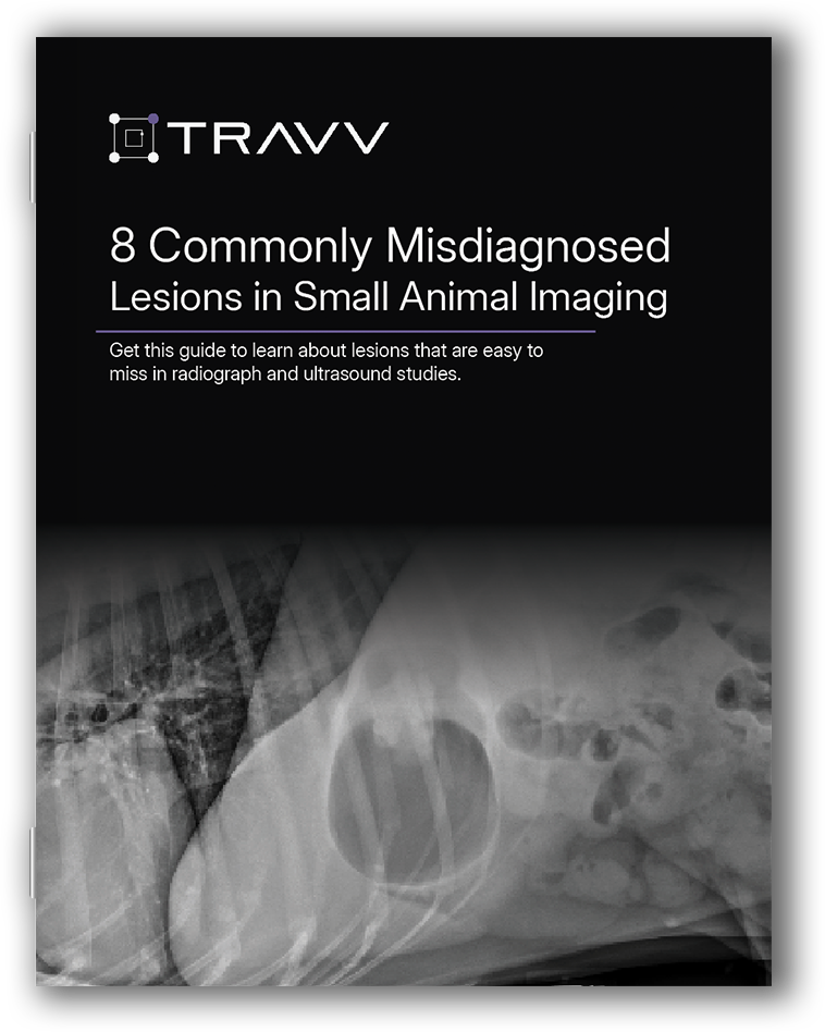 8 Commonly Misdiagnosed Lesions in Small Animal Imaging — ebook cover