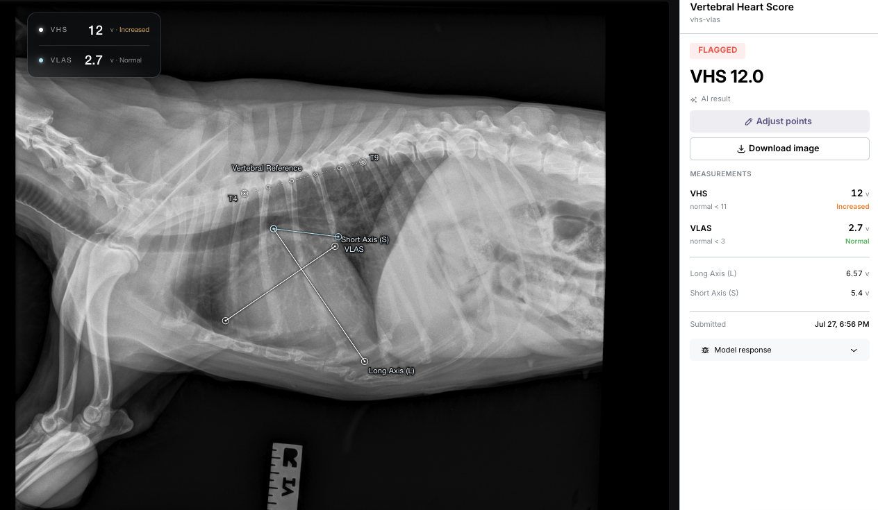 A screenshot of an AI radiology tool measuring VHS/VLAS